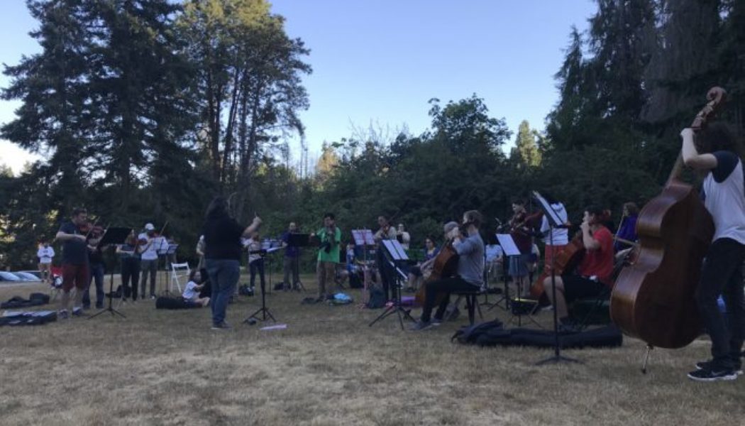 WEST SEATTLE MUSIC: Concerts in the park - featuring you!