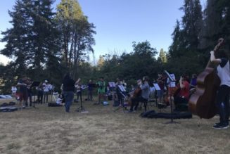 WEST SEATTLE MUSIC: Concerts in the park - featuring you!