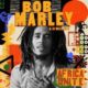 Bob Marley & The Wailers ft. Skip Marley & Rema - Them Belly Full