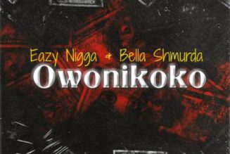 Eazy Nigga ft Bella Shmurda - Owo Ni Koko