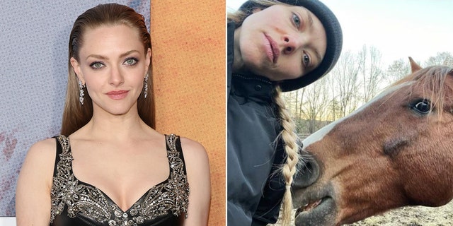 Amanda Seyfried on the red carpet and on her farm split