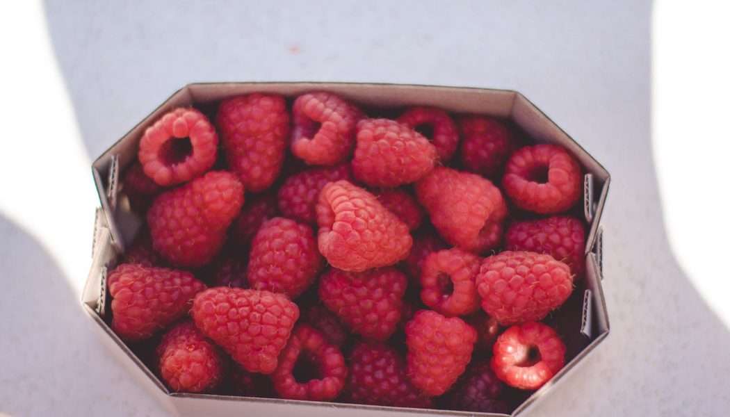 Health Benefits of Raspberries: A Berrylicious Way to Healthy Living