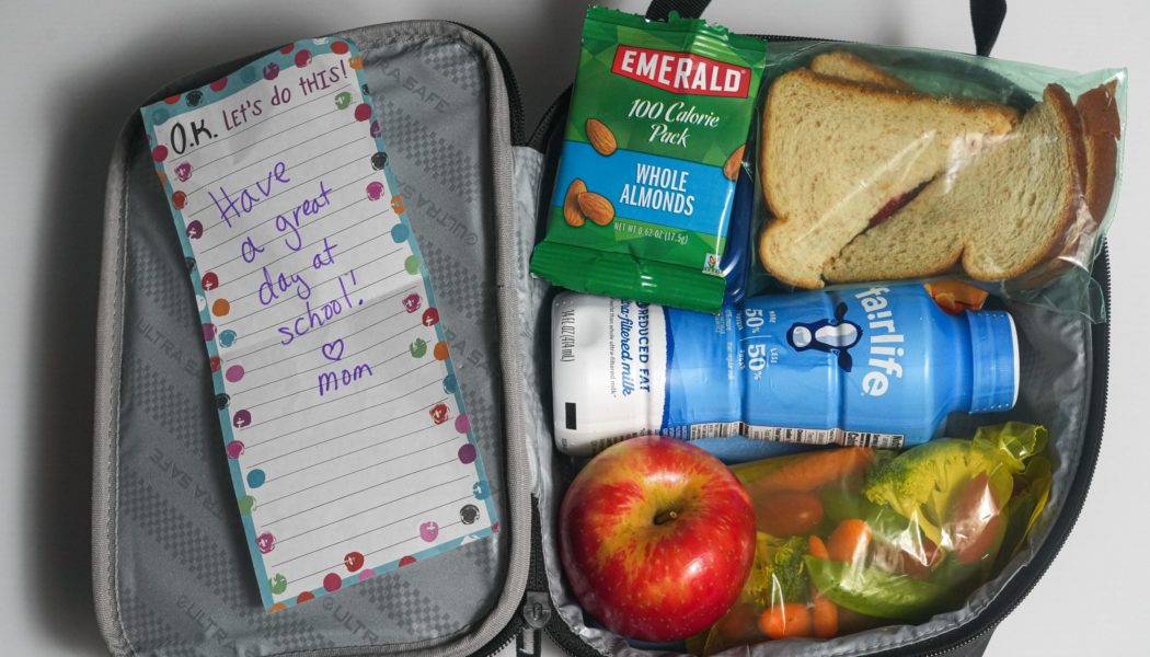 Ready for school lunch? Here's what to pack, what not to pack to keep kids healthy