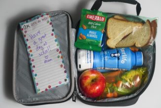 Ready for school lunch? Here's what to pack, what not to pack to keep kids healthy