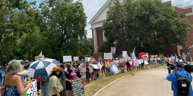 Protesters in Texas