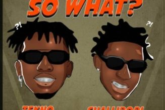 Tekno ft Shallipopi - So What?