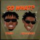 Tekno ft Shallipopi - So What?