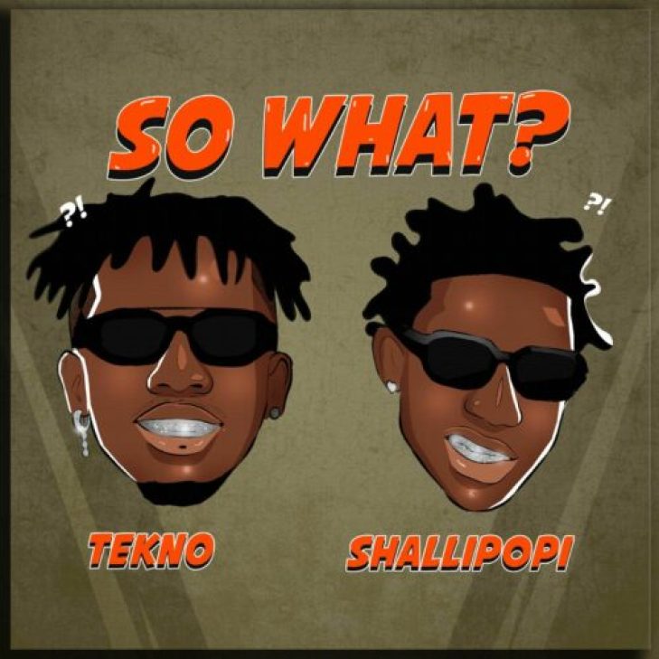 Tekno ft Shallipopi &#8211; So What?