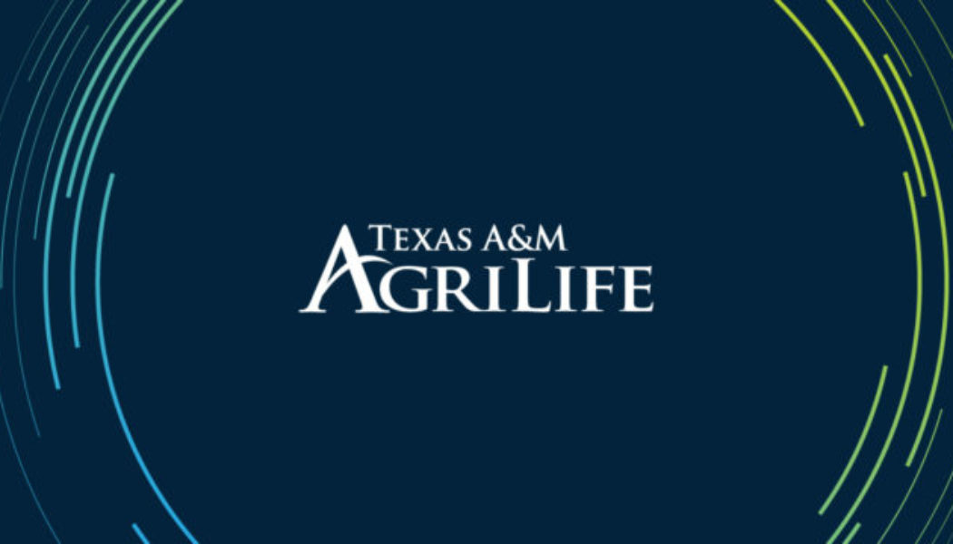 Wellness and weight loss course now available free online for limited time - AgriLife Today