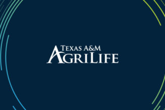 Wellness and weight loss course now available free online for limited time - AgriLife Today