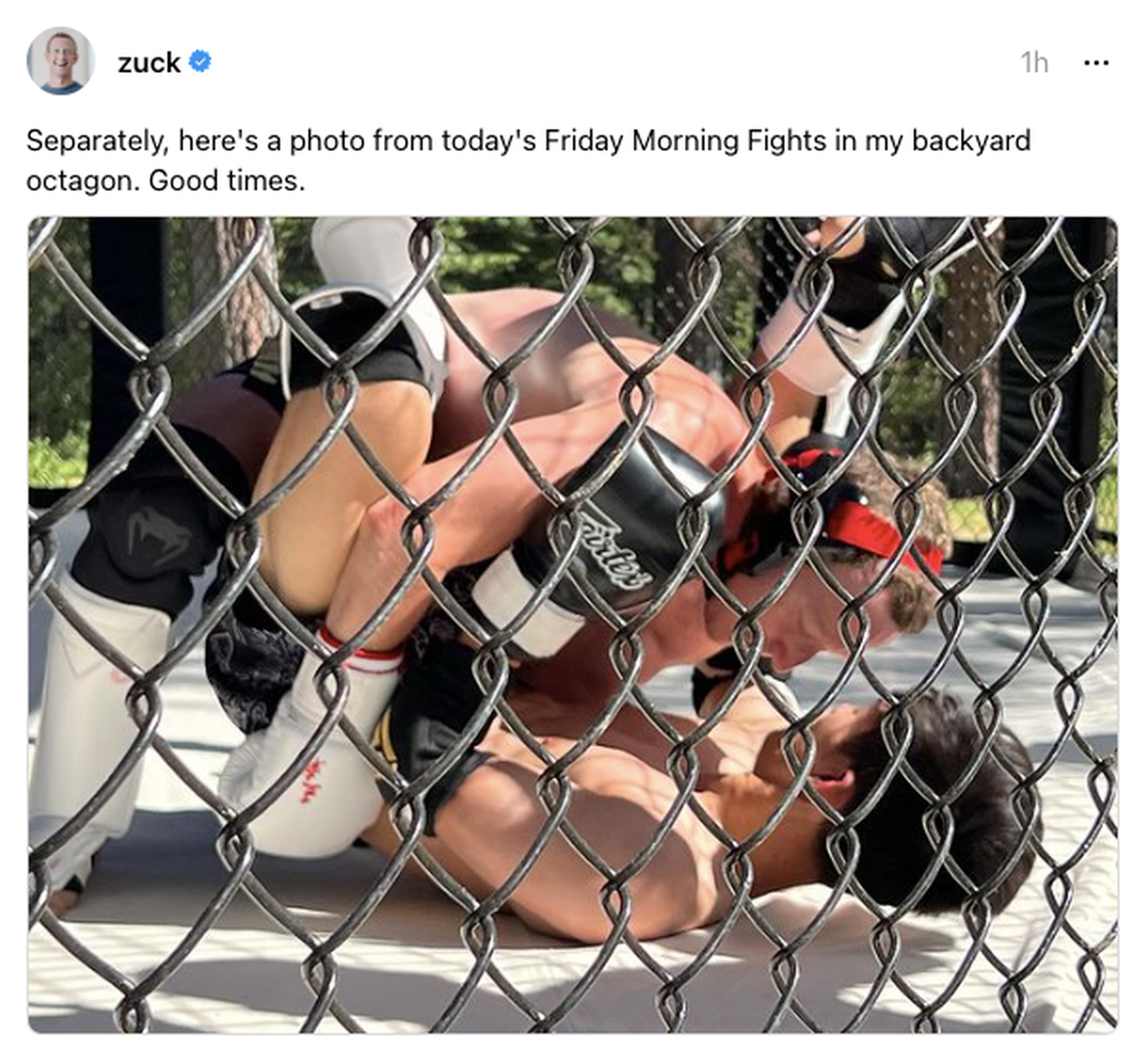 A Threads screenshot of Mark Zuckerberg training in the octagon in his own backyard.