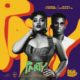 Adina Thembi ft Kofi Kinaata - Party