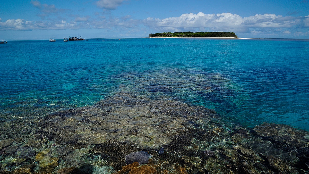 Snorkeling the Great Barrier Reef