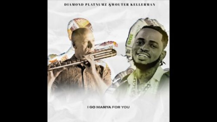 Diamond Platnumz &#8211; Pounds &#038; Dollars ft Wouter Kellerman