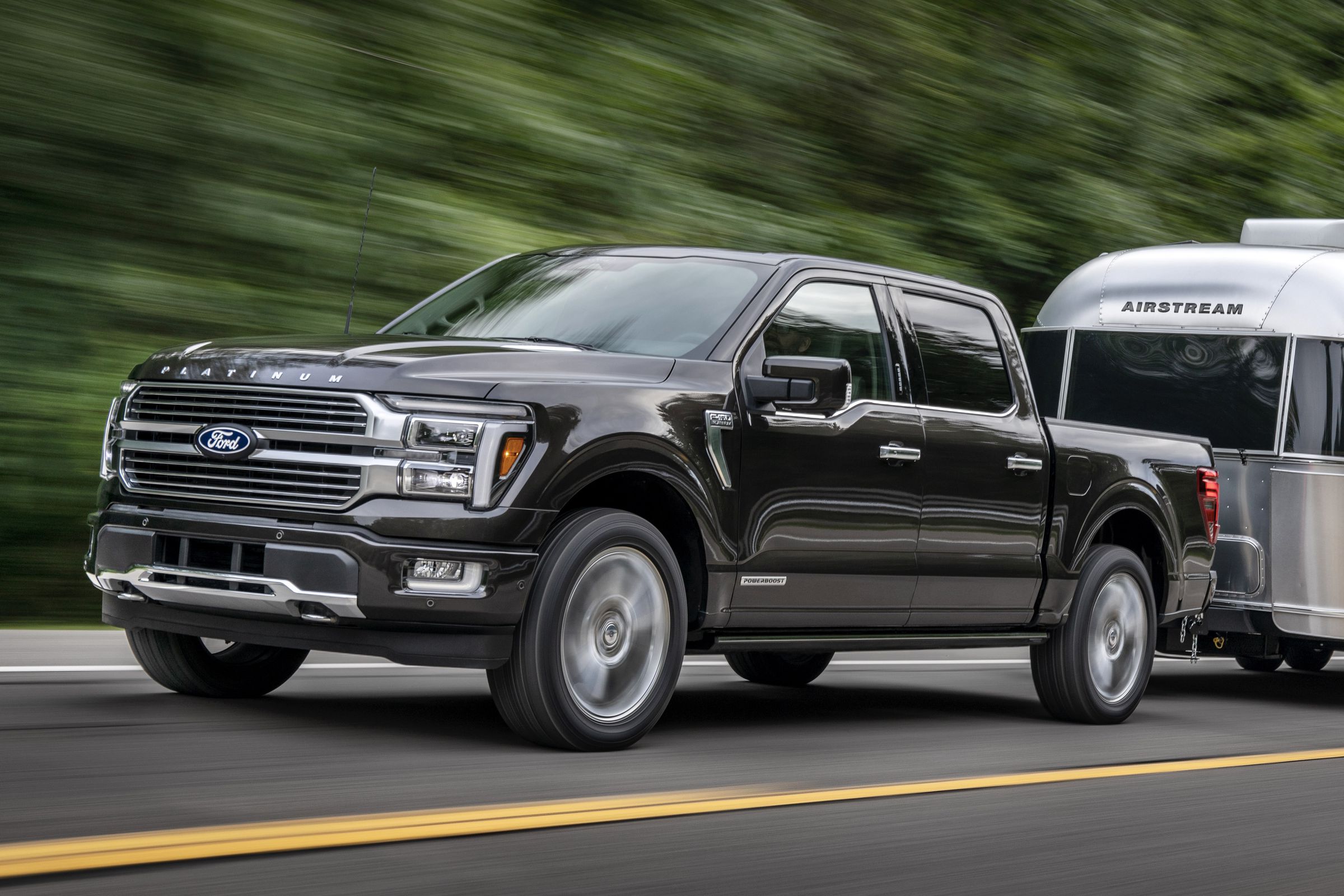 black f-150 platinum truck in a park by trees