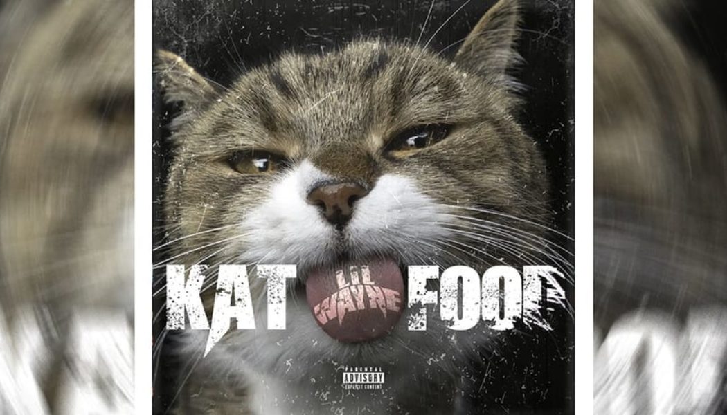 Lil Wayne Samples Missy Elliott on "Kat Food"