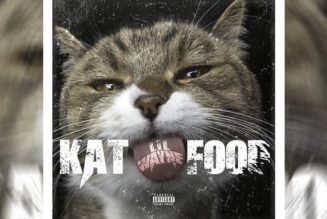 Lil Wayne Samples Missy Elliott on "Kat Food"