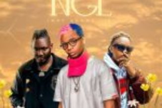 Steven Adeoye ft Goya Menor & Eltee Skhillz - NGL