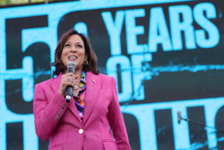 Vice President Kamala Harris Hosts Hip-Hop 50 Concert In D.C.