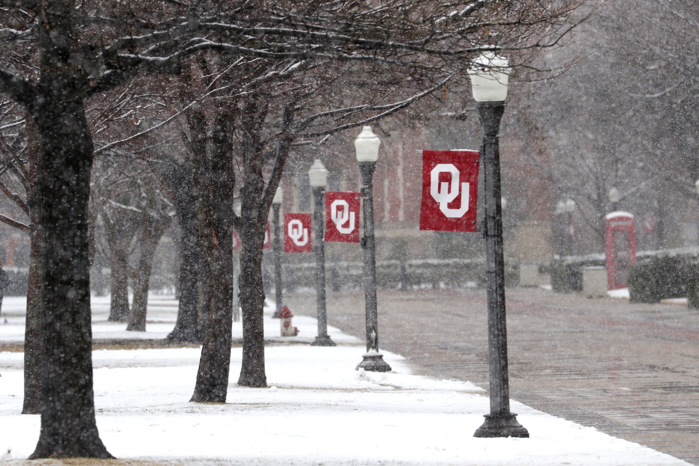 Accumulated snow is seen in a street amid heavy snow fall near University of Oklahoma at Norman, Oklahoma.