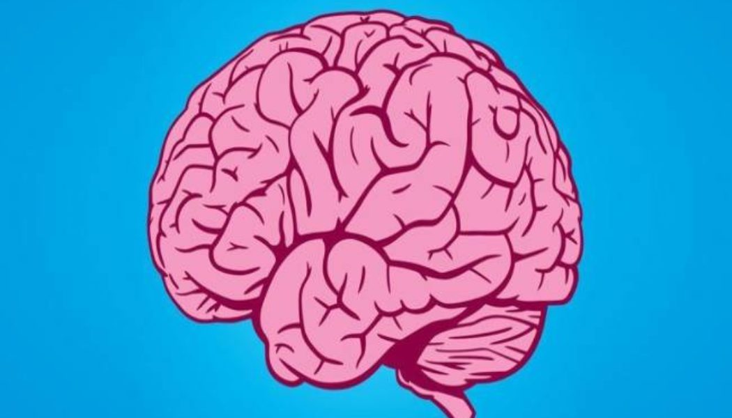 Brain: Boost Your Cognitive Function By Incorporating These Changes To Your Lifestyle