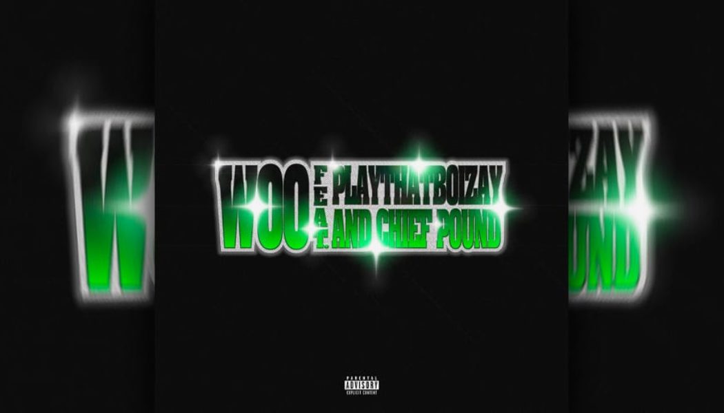 Denzel Curry and Ronny J Reunite on "WOO"