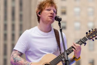 Different Plaintiffs File Appeal in Ed Sheeran, Marvin Gaye "Thinking Out Loud" Case