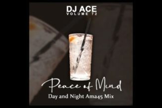 DJ Ace - Peace of Mind Vol 72 Day & Night Ama45 Mix