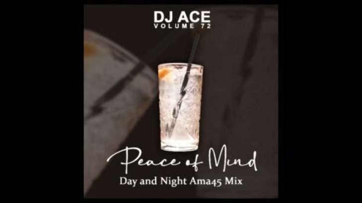 download DJ Ace - Peace of Mind Vol 72 Day & Night Ama45 Mix