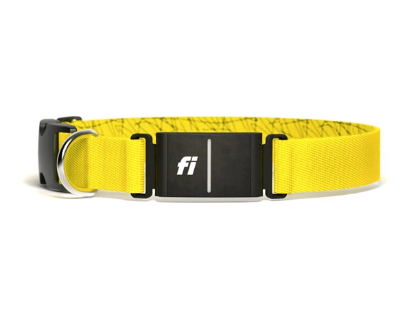 Fi Smart Dog Collar series 3