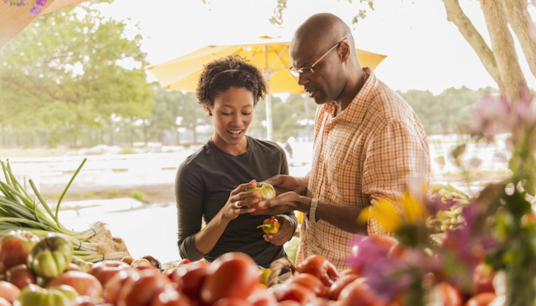 $3.37 Million Grant Backs Effort to Optimize Online Weight Programs