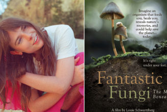 Angie McMahon on the Transformative Qualities of Fantastic Fungi Documentary