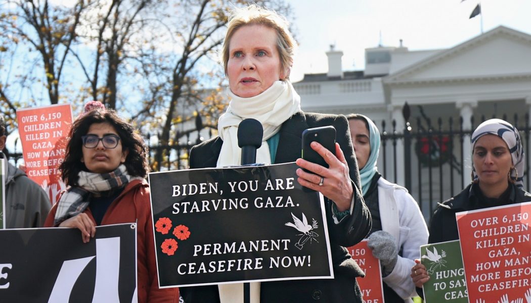 Cynthia Nixon joins hunger strike calling for permanent ceasefire in Gaza