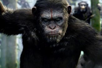 'Kingdom of the Planet of the Apes' Trailer Teases the Beginning of a New Apocalyptic Chapter