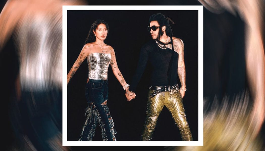 Lenny Kravitz Joins Peggy Gou for New Single "I Believe In Love Again"