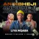 liyanqaba – Andibheji Ft. Mrzux Figlano & Csana — NaijaTunez