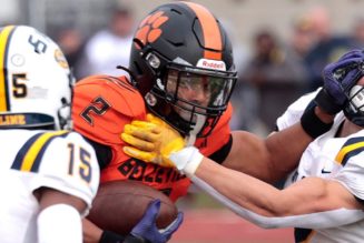 Michigan high school football player makes no-look interception in state title game