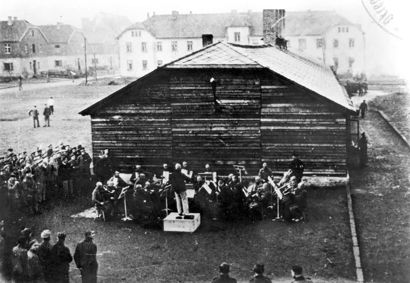 auschwitz orchestra