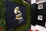 A framed picture of a gramophone against a black background hangs on what appears to be a hedge.