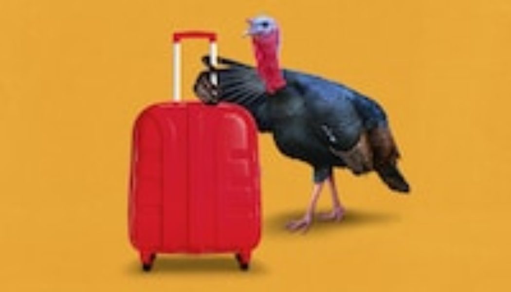 Our best advice for Thanksgiving travel