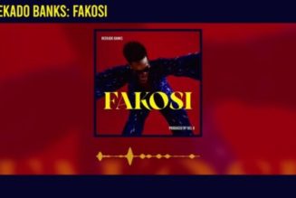 Reekado Banks - Fakosi