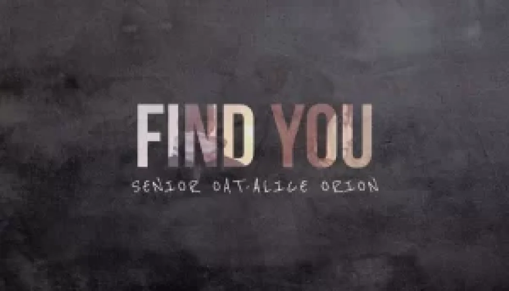 Senior Oat – Find You ft. Alice Orion — NaijaTunez