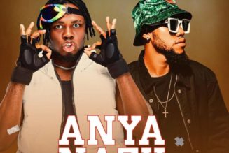 Sooflashy – Anya Nazu Ft. Ifex G — NaijaTunez