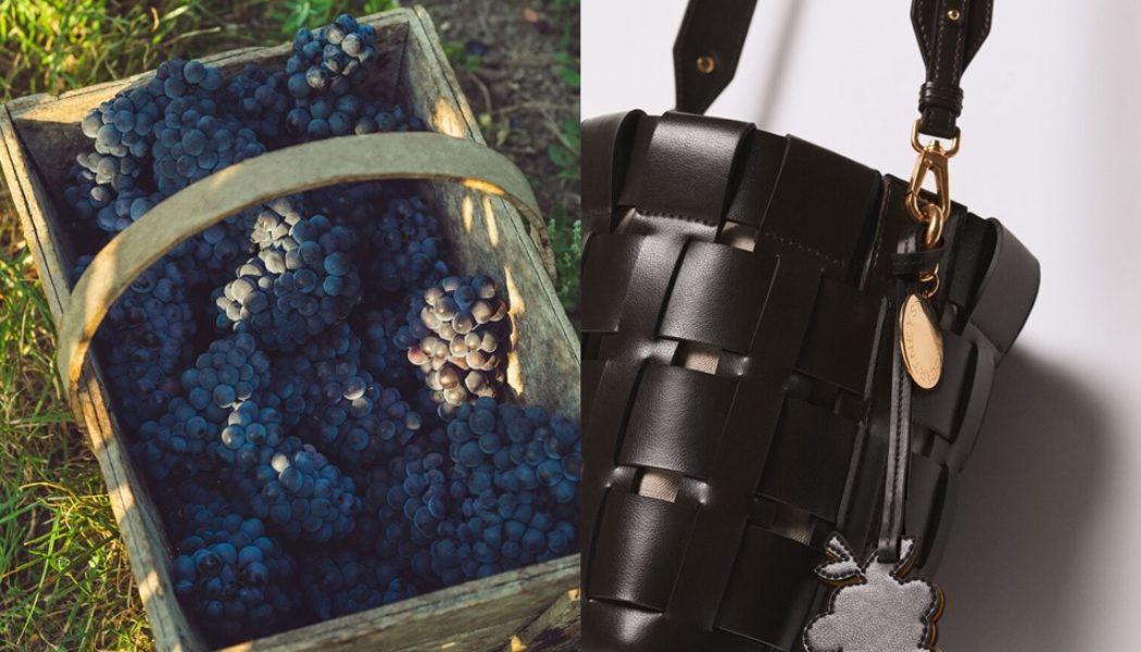 Stella McCartney Turns Grape Waste Into Luxury Fashion