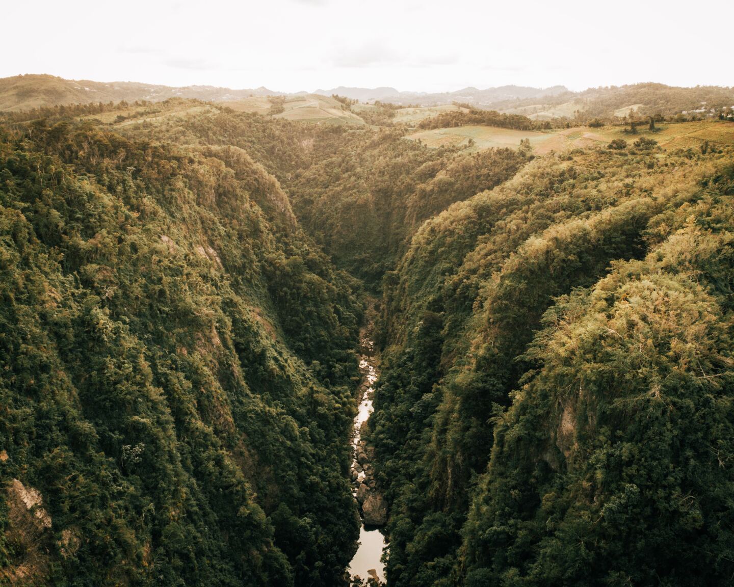 A deep river valley among soaring green canyons in Puerto Rico's Cañón de San Cristóbal