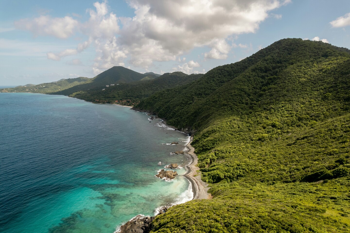 Lush shoreling in St. Croix in the U.S. Virgin Islands