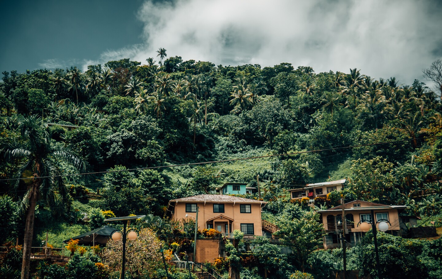 Hill covered in tropical foliage with several peach-colored homes in the foreground