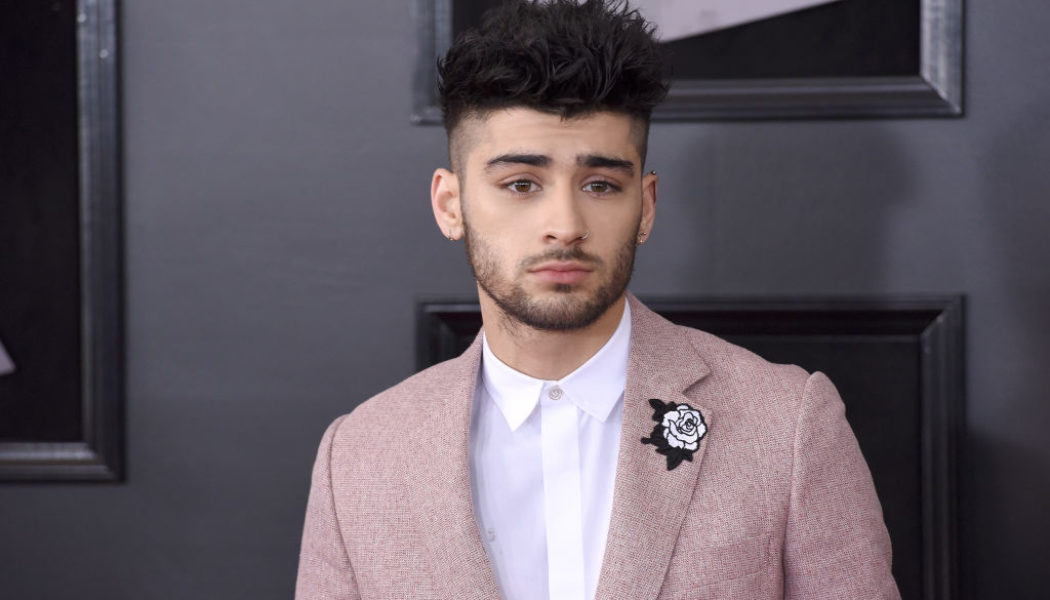 Zayn Malik Writing New Music for Animated Film '10 Lives'