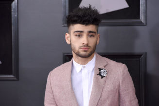 Zayn Malik Writing New Music for Animated Film '10 Lives'