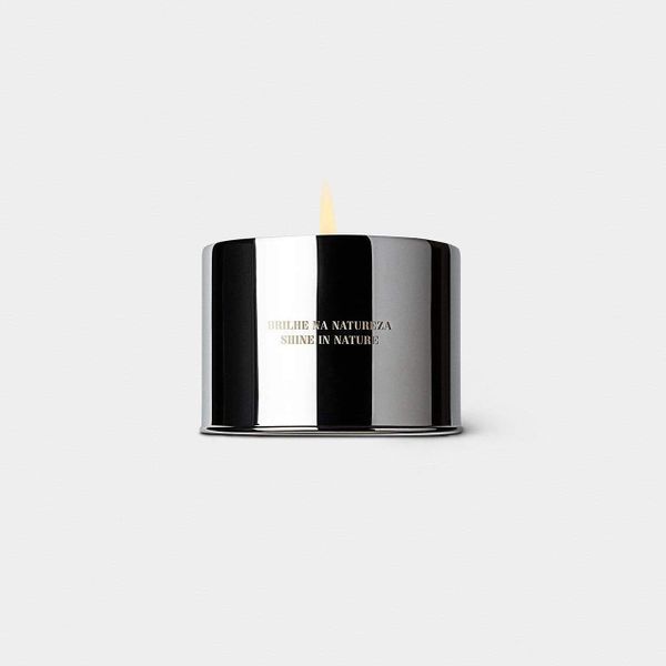 Costa Brazil Vela Candle Jungle